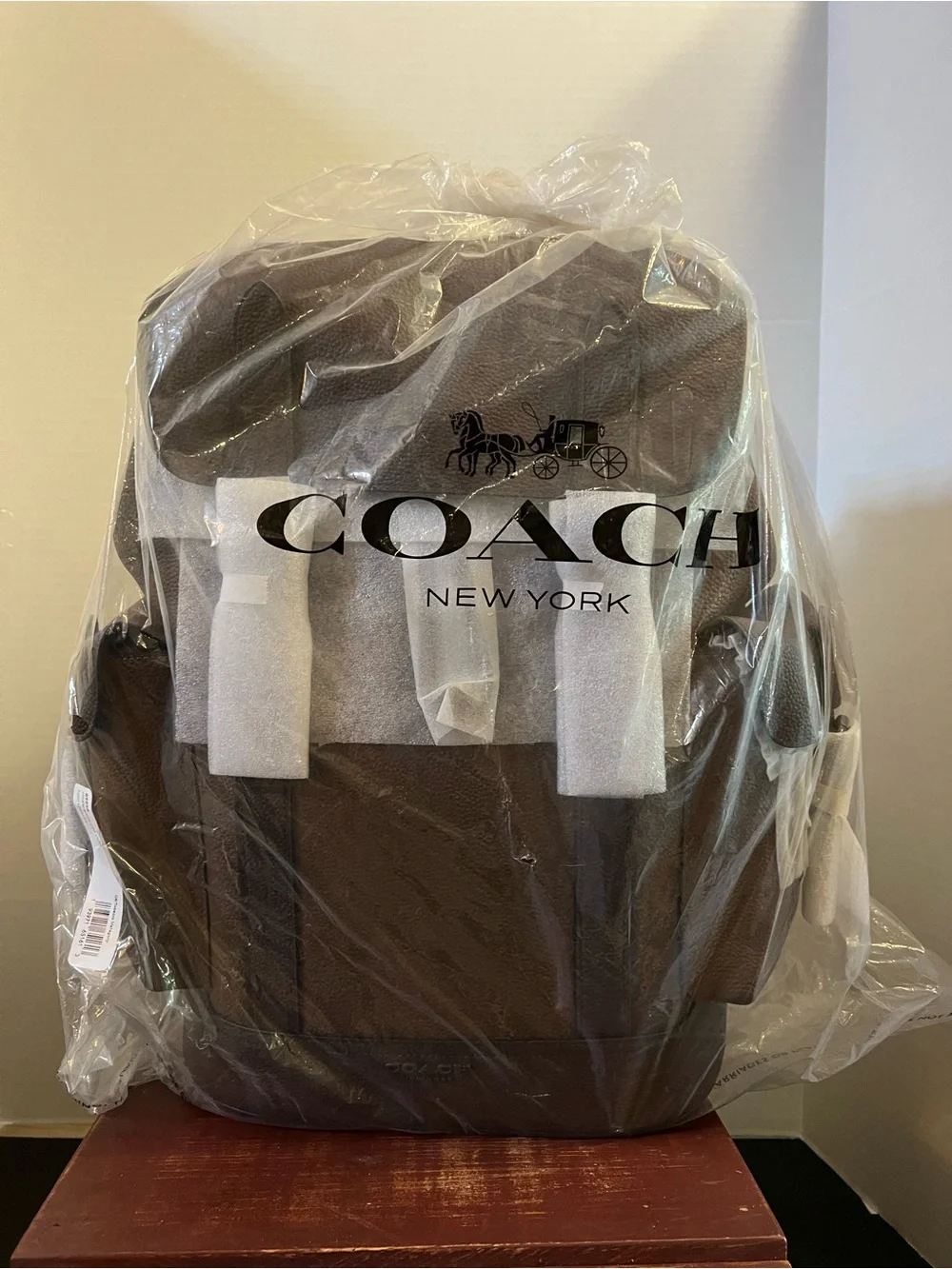 Coach Men's Dark Brown Leather Backpack
